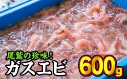 【ふるさと納税】珍味！ガスエビ（ヒゲナガエビ） ６００gセット　HA-33