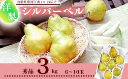 【ふるさと納税】洋梨 「追熟 シルバーベル 」 3kg 秀品 （6〜10玉） 山形産 令和6年産 2024年産 【2024年12月頃〜2025年1月頃発送予定】