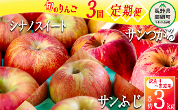 【ふるさと納税】＼農家応援企画／ 【令和6年度先行予約返礼品】 3種のりんご 定期便 3kg × 3回 家庭用 訳あり りんご 《 サンつがる シ