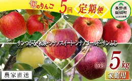 【ふるさと納税】旬のりんご 【 定期便 】 家庭用 4.5kg 〜 5kg × 5回 松橋りんご園 沖縄県への配送不可 2024年9月上旬頃から2024年12月