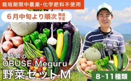 【ふるさと納税】［ 栽培期間中 農薬・化学肥料不使用］ OBUSE Meguru 野菜セット M 8〜11種類 ［新規就農者応援コース 幸作会］野菜 詰