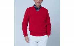 【ふるさと納税】日本製 カシミヤ100% Vセーター 赤 Mサイズ [2606]