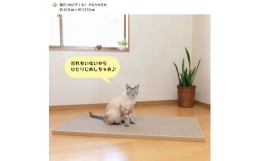 【ふるさと納税】猫のつめとぎ（大）【かなり】おおきめサイズで2枚入り!