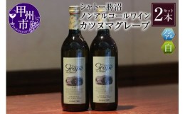 【ふるさと納税】【ノンアルコールワイン】カツヌマグレープ白２本セット　B-713