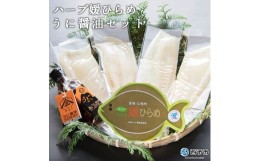 【ふるさと納税】ハーブ媛ひらめ・うに醤油セット