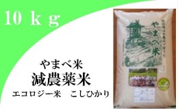 【ふるさと納税】【無洗米】減農薬米（こしひかり100％）１０ｋｇ【令和5年産 2023年産 コシヒカリ 10kg 島根県産 大田市産 米 無洗米 エ