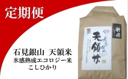 【ふるさと納税】石見銀山天領米定期便（5kg×2回お届け）【定期便 定期 2回 コシヒカリ 精米 5kg×2回 合計10kg 島根県産 大田市産 米 