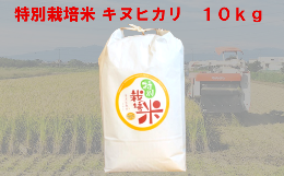 【ふるさと納税】特別栽培米　キヌヒカリ　10kg　【11218-0221】