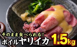 【ふるさと納税】 ボイルヤリイカ 約１.５kg（300g × ５袋）セット（到着日時指定必須商品） 小分け 三重県尾鷲市 人気 大満足 返礼品  