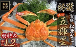 【ふるさと納税】【魚倉】五輝星 ボイル 松葉ガニ （特特大１．２ｋｇ）　数量限定品 カニ カニ爪 タグ付き ズワイガニ 冷蔵