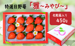 【ふるさと納税】【先行予約】 特選　日野苺「雅（みやび）」（約450g） 化粧箱　2024年11月より順次発送