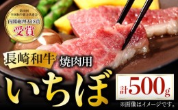 【ふるさと納税】長崎和牛 焼肉用 いちぼ 500g 希少部位 肉 お肉 牛肉 赤身 和牛 焼肉 BBQ 東彼杵町/黒牛 [BBU027]