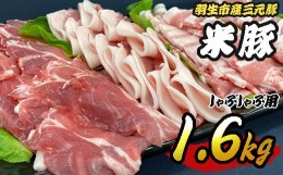 【ふるさと納税】しゃぶしゃぶ セット 1.6kg  豚肉 米豚 豚肉 豚しゃぶ 肉 豚しゃぶ 冷凍 羽生市産 ブランド 間中さん家