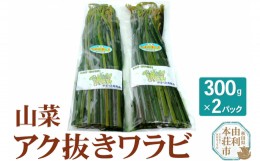 【ふるさと納税】山菜 秋田県産 アク抜きワラビ 300g×2パック （発送は5月頃）