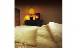 【ふるさと納税】The PREMIUM Sofwool 敷き毛布シングル (100×205cm)【db】[0972]