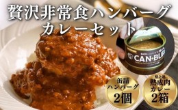 【ふるさと納税】《格之進》贅沢　缶詰ハンバーグ・熟成肉カレーセット【常温保存で非常食に◎】お歳暮 プレミアム お弁当 個包装 お惣菜