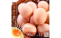 【ふるさと納税】U-9 ◆12ヵ月定期便◆ 黄身がしっかり濃厚な卵【アスタの恵み】90個×12