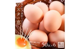 【ふるさと納税】U-5 ◆6ヵ月定期便◆ 黄身がしっかり濃厚な卵【アスタの恵み】50個×6