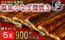 【ふるさと納税】【配送日指定可能】温泉うなぎ蒲焼 5尾（180gサイズ） 国産うなぎ 人気 国産 蒲焼 蒲焼き かば焼き 鰻屋 個包装 冷凍 真