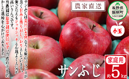 【ふるさと納税】りんご サンふじ ( 小玉 ) 家庭用 5kg 松澤農園 沖縄県への配送不可 2024年11月下旬頃から2025年2月上旬頃まで順次発送