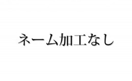 【ふるさと納税】[?5695-7013]【島田の逸品】1103木こりの積木ランド M（ネームなし）