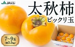 【ふるさと納税】P240-B【先行予約】JAにじ 太秋柿ビックリ玉 7〜9玉 (約3.5kg) 10月中旬〜10月下旬お届け