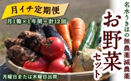 【ふるさと納税】P333-12 【月イチ定期便】UIC 名水うきはの無農薬減農薬お野菜セット (ひと月1箱×1年間=計12回)