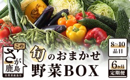 【ふるさと納税】定期便 6ヶ月 旬のおまかせ野菜BOX 8〜10品目 野菜 果物 旬 定番 セット 詰め合わせ なす トマト きゅうり ミニトマト 