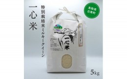 【ふるさと納税】【新米・予約】 令和6年産 矢原一心ファーム 特別栽培米 ミルキークイーン 5kg 米 お米 おこめ 鳥取県日南町 特別栽培