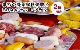 【ふるさと納税】季節の野菜収穫体験とBBQのセットプラン(２名様分)