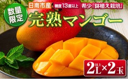 【ふるさと納税】数量限定 希少 完熟 マンゴー 鉢植え栽培 2L以上×2玉 フルーツ 果物 国産 食品 デザート 完熟マンゴー 産地直送 送料無