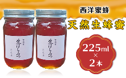 【ふるさと納税】天然生蜂蜜（西洋蜜蜂）2本セット【ハチミツ 蜂蜜 はちみつ 生蜂蜜 蜂 お菓子 瓶タイプ 砂糖 甘い 濃厚】