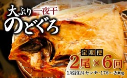 【ふるさと納税】島根県沖！大ぶり「のどぐろ一夜干」定期便（6回お届け）【定期便 のどぐろ 干物 2尾 6回 合計12尾 のどぐろ一夜干し の