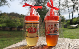 【ふるさと納税】【国産/はちみつ】岩手の純粋蜂蜜300g×2本セット（トチ＆秋百花）