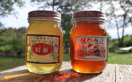 【ふるさと納税】【国産/はちみつ】岩手の純粋蜂蜜600g×2本セット（トチ&秋百花）