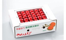 【ふるさと納税】《先行予約》2024年 山形県産 紅秀峰 本詰め 約500g 2L やまのべ多田耕太郎のさくらんぼ サクランボ F20A-046