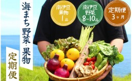 【ふるさと納税】【定期便】 海まち野菜と果物セット 3ヶ月の定期便　【 野菜 やさい きのこ 山菜 柑橘 みかん 果物 フルーツ セット 定