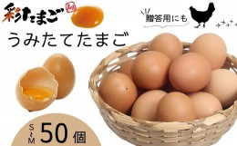 【ふるさと納税】彩たまご うみたてたまご50個入り 化粧箱 80サイズ ｜ 養鶏場直送 新鮮 卵 たまご タマゴ 玉子 生卵 鶏卵 彩 国産 産み