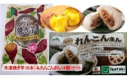 【ふるさと納税】AE-38 冷凍焼き芋（6本）＆れんこんまん（4個）セット