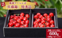 【ふるさと納税】令和6年産 特秀品 さくらんぼ「 佐藤錦 」600g (300g×2パック) Lサイズ以上 2024年産 山形県産 山形産 【2024年6月中旬