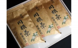 【ふるさと納税】19-1 お茶 茶葉 静岡茶 川根茶 / 大はしり100ｇ袋3本詰合せ（ギフト包装）