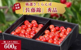 【ふるさと納税】令和6年産 さくらんぼ「 佐藤錦 」600g (300g×2パック) 秀品 Lサイズ以上 2024年産 山形県産 山形産 【2024年6月中旬頃