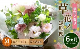 【ふるさと納税】【定期便 6ヶ月】草花ノ定期便 Mサイズ 5〜8種類 約8〜10本