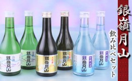 【ふるさと納税】銀嶺月山 冷酒 3種飲み比べセット 合計6本（300ml×各2本） 大吟醸 ・ 吟醸 生酒 【2024年5月〜2025年1月に順次発送予定