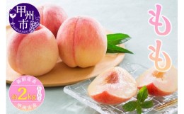 【ふるさと納税】新鮮産直 甲州市！桃約2kg5〜8玉（KSF）B12-462 【山梨県 フルーツ もも 桃 モモ 白鳳系 白桃系 ピーチ 人気 新鮮 フル