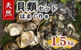 【ふるさと納税】ハマグリ等貝類セット 1.5kg ( はまぐり ハマグリ 蛤 あさり アサリ 貝 伊勢湾産 新鮮 天然 冷蔵 砂出し済み 手掘り ) 