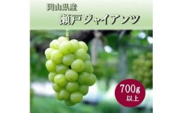 【ふるさと納税】岡山県 勝央町産 瀬戸ジャイアンツ 700g以上 （1房）_【10月発送】_A6