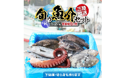 【ふるさと納税】【5ヶ月定期便 / 下処理する】三陸海の恵み詰め合わせ(1回あたりのお届け目安：1〜2人用) 【 無添加 鮮魚 三陸産 国産 