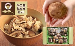 【ふるさと納税】菌床椎茸 さんまいん及び加工品詰め合わせ ｜ しいたけ 椎茸 きのこ さんまいん 加工品 ふりかけ 佃煮 乾燥椎茸 肉厚 料