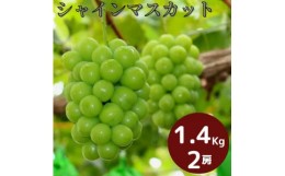 【ふるさと納税】岡山県産 シャインマスカット 1.4kg以上 （2房）_【9月中旬から10月中旬発送】_A18